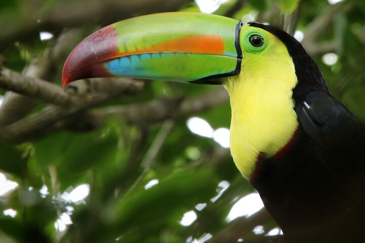 Guided Walk to the Curi Cancha Reserve - Photo 1 of 25